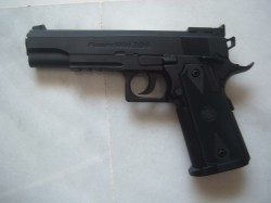 PISTOLA POWER WIN 304