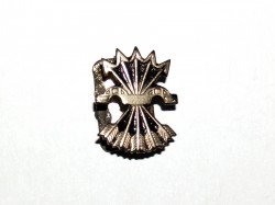 INSIGNIA MILITANTE DE FALANGE PARA SOLAPA